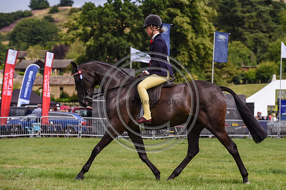 HorseNo739_Bakewell15pn_31423