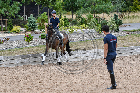Collective Equestrian