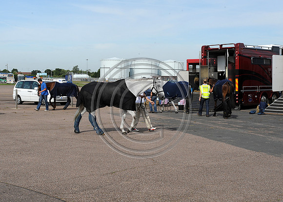 OlympicHorses_08KH285