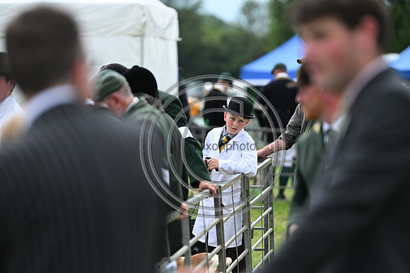 Festival of Hounds 2024