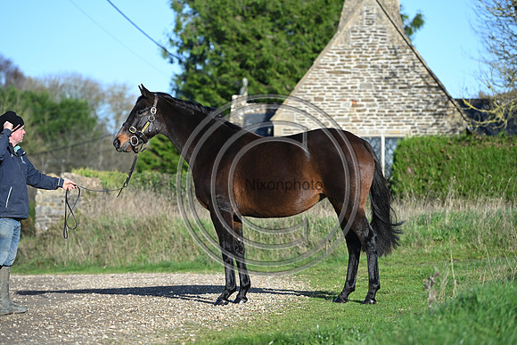 Mare_Selwood_PN2