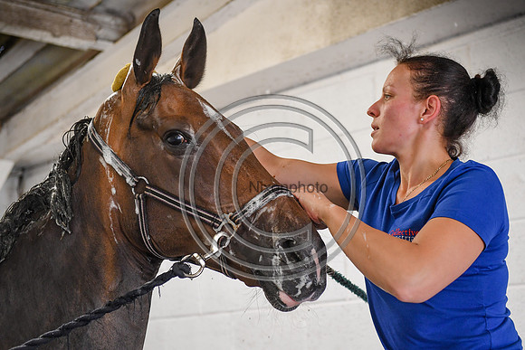 Collective Equestrian