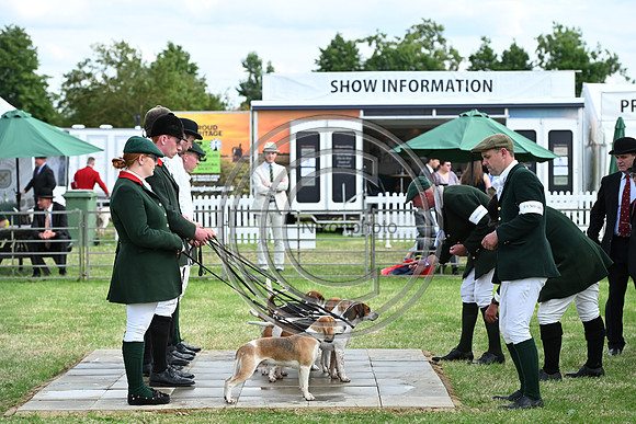 Festival of Hounds 2024