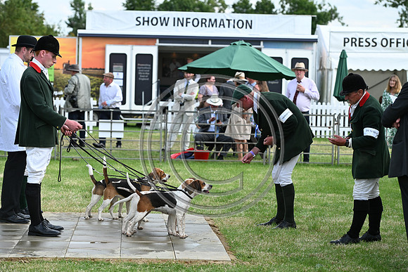 Festival of Hounds 2024