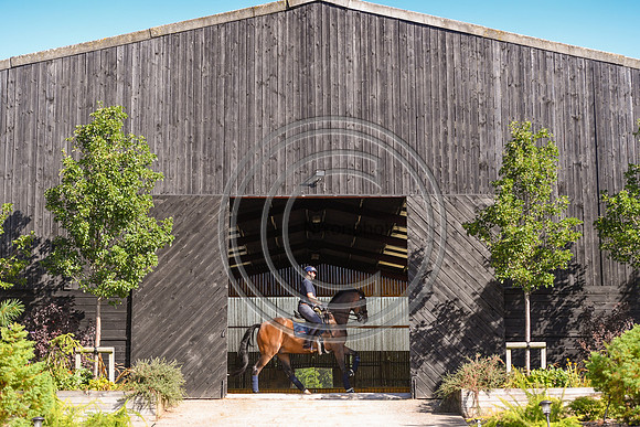 Collective Equestrian