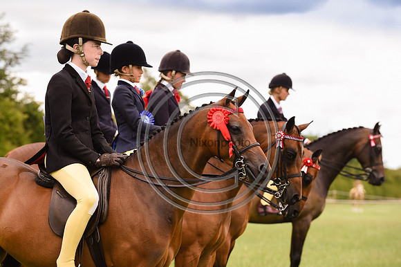 ShowPony_ShowRegSGS15pn_28579 copy