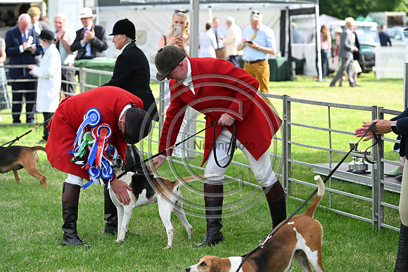 Festival of Hounds 2024