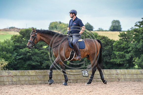 Collective Equestrian