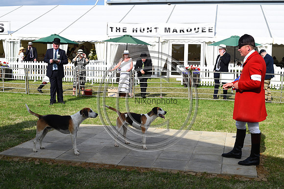 Festival of Hounds 2024
