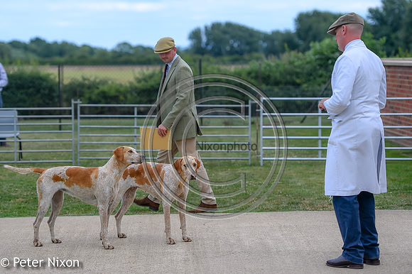 PrePuppyShow_BWCH_Hunt_PN22_27439