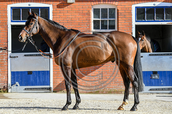 Emma Lavelle 15 02 2019
