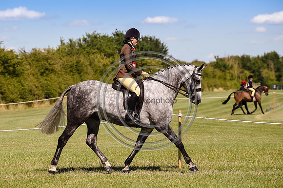 HorseNo1157_ShowRegSGS15pn_28639