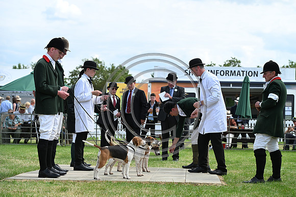 Festival of Hounds 2024