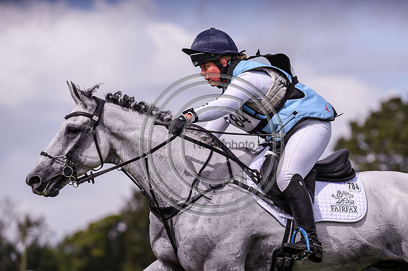 HorseNo_Burgham_20PN_85860