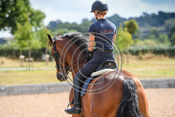 Collective Equestrian