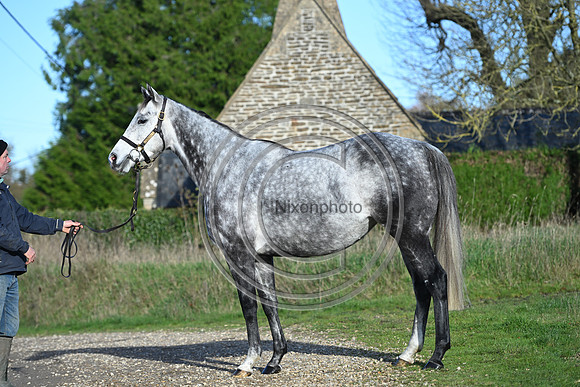 Mare_Selwood_PN52