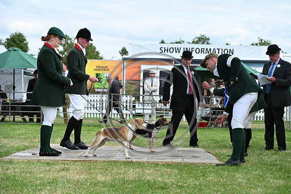 Festival of Hounds 2024
