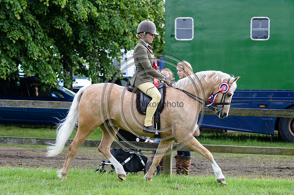 HorseNo1076_SuffolkShow14pn_4920