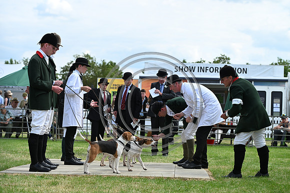Festival of Hounds 2024