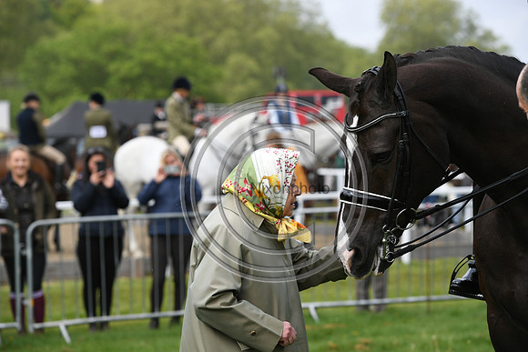 Valegro_RWHS_PN19_12957