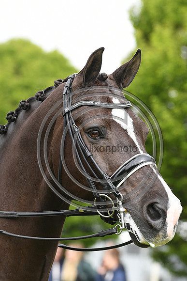 Valegro_RWHS_PN19_12886
