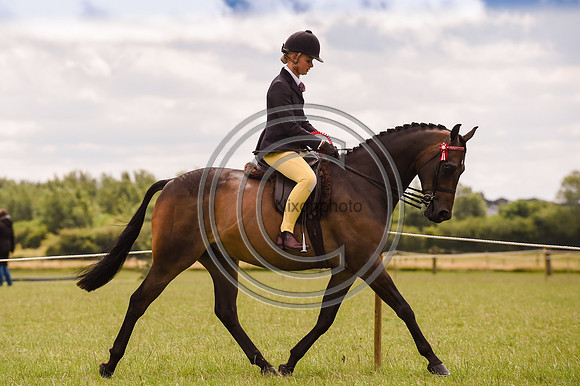 HorseNo1054_ShowRegSGS15pn_28567