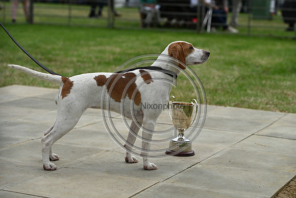 Festival of Hounds 2024
