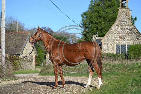 Mare_Selwood_PN32