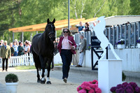 Longines Luhmühlen Horse Trials