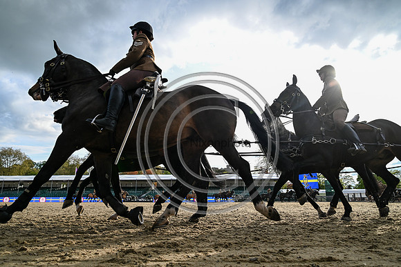 King's Troop_RWHS_PN24_130706