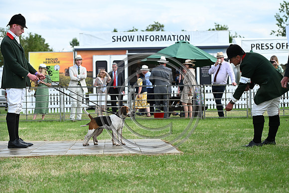 Festival of Hounds 2024