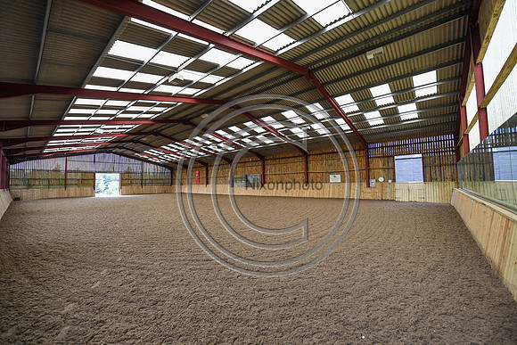Collective Equestrian