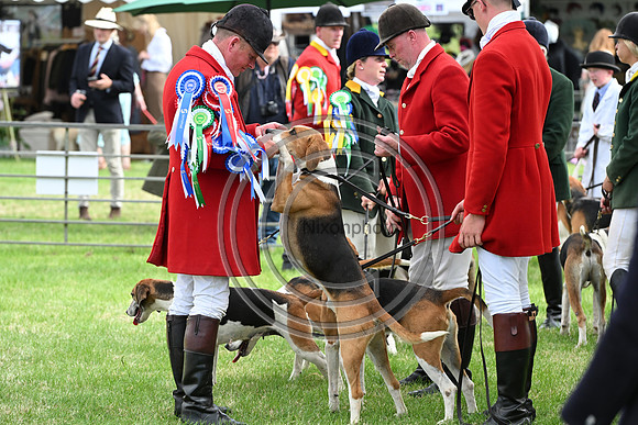 Festival of Hounds 2024