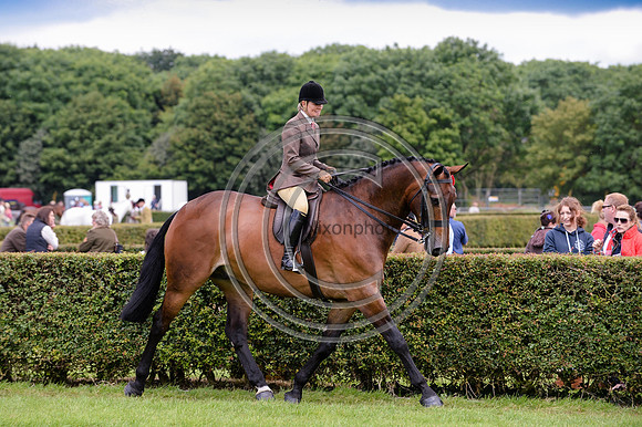 HorseNo183_LincolnShow14pn_7545