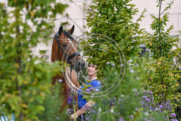 Collective Equestrian