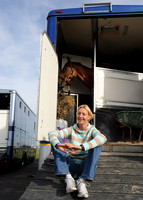 OlympicHorses_08KH272