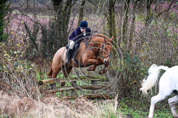 Ludlow Hunts
