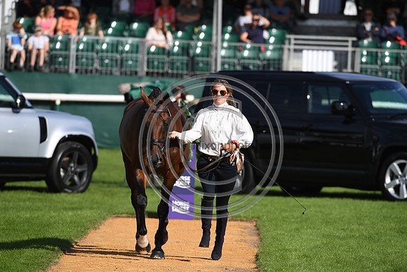 Land Rover Burghley Horse Trials
