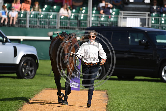 Land Rover Burghley Horse Trials