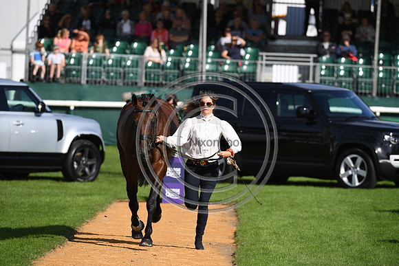 Land Rover Burghley Horse Trials