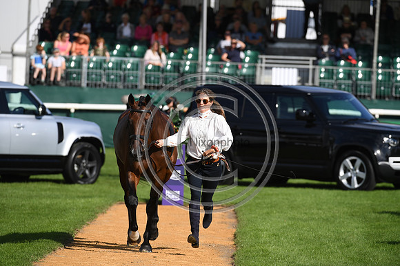 Land Rover Burghley Horse Trials
