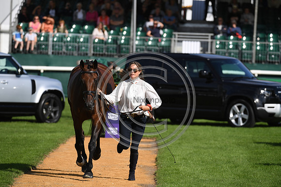 Land Rover Burghley Horse Trials