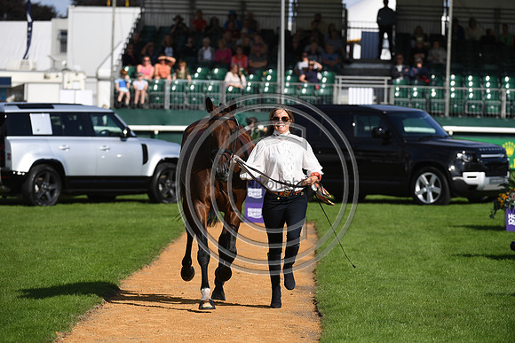 Land Rover Burghley Horse Trials