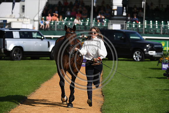 Land Rover Burghley Horse Trials