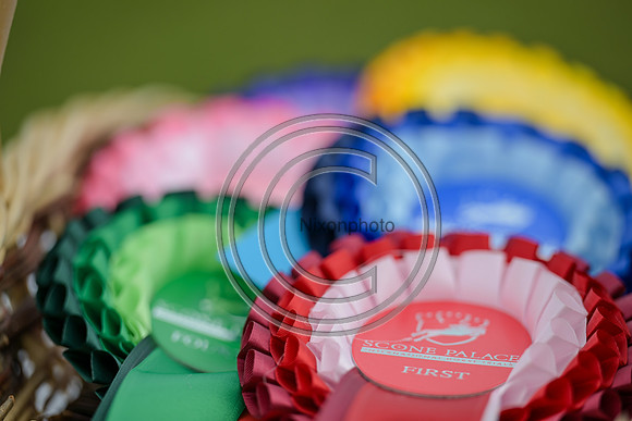 SconeSlights_SPIHT25_PN34889