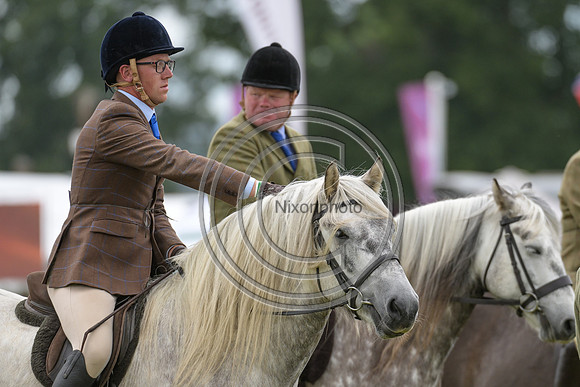Showing_SPIHT25_PN34881