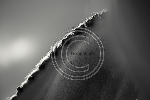Sights_SPIHT25_PN34901