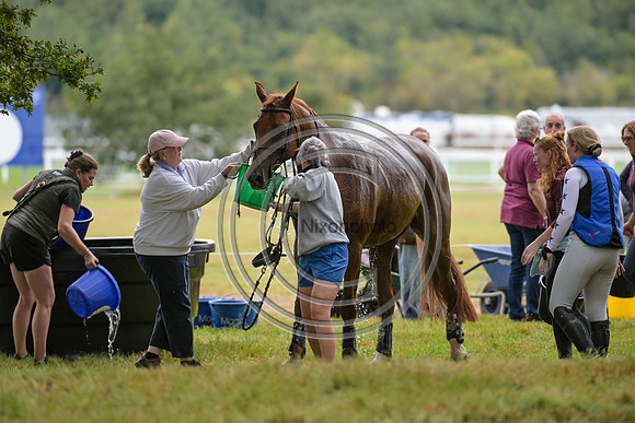 Cross Country_SPIHT25_PN34956