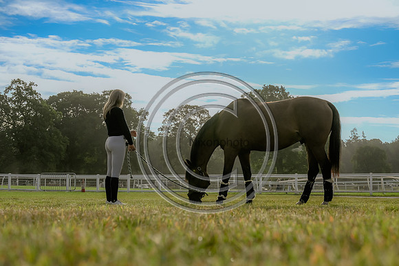 Grazing_SPIHT25_PN35063
