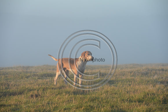 United_Hunting_PN22_54245